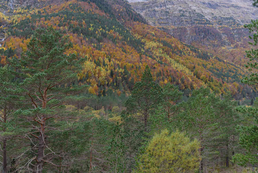Huesca - valle de Pineta 09.jpg